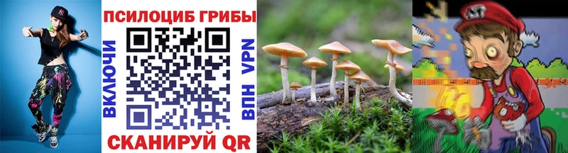 продажа наркотиков Мосальск Галлюциногенные грибы Cubensis